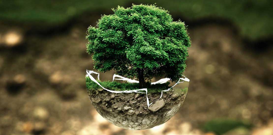 Medio Ambiente ISO 14001
